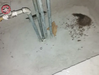 涞水卫生间测漏水价格明细